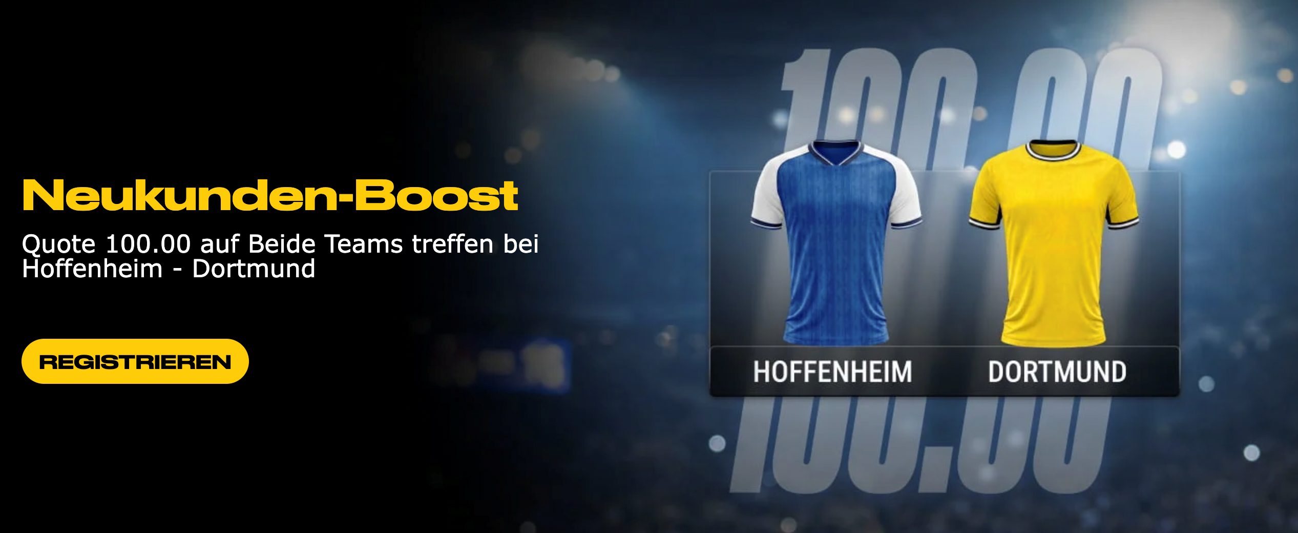 TSG Hoffenheim vs. Borussia Dortmund